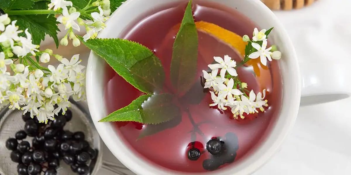 Elderberry recipe