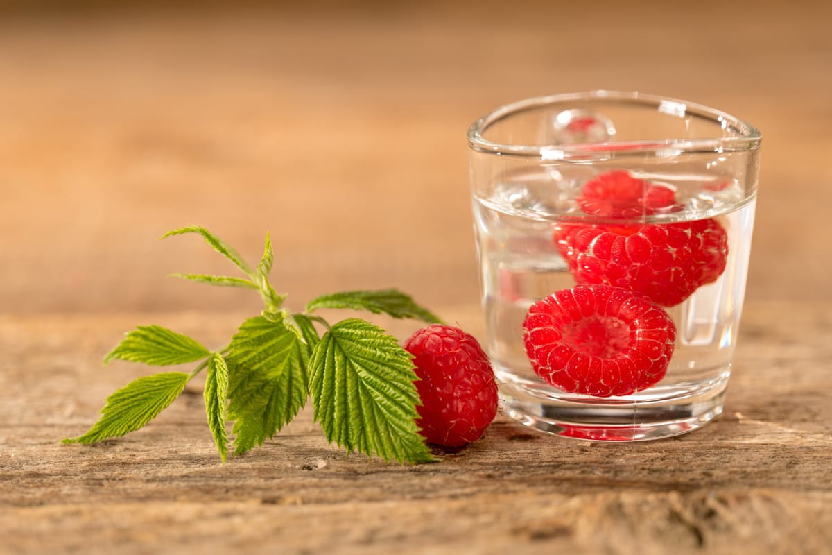 Unveiling the Benefits of Red Raspberry Leaf Tea