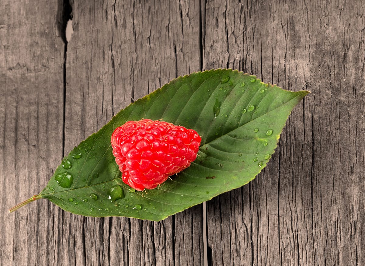 Benefits of Red Raspberry Leaf Tea