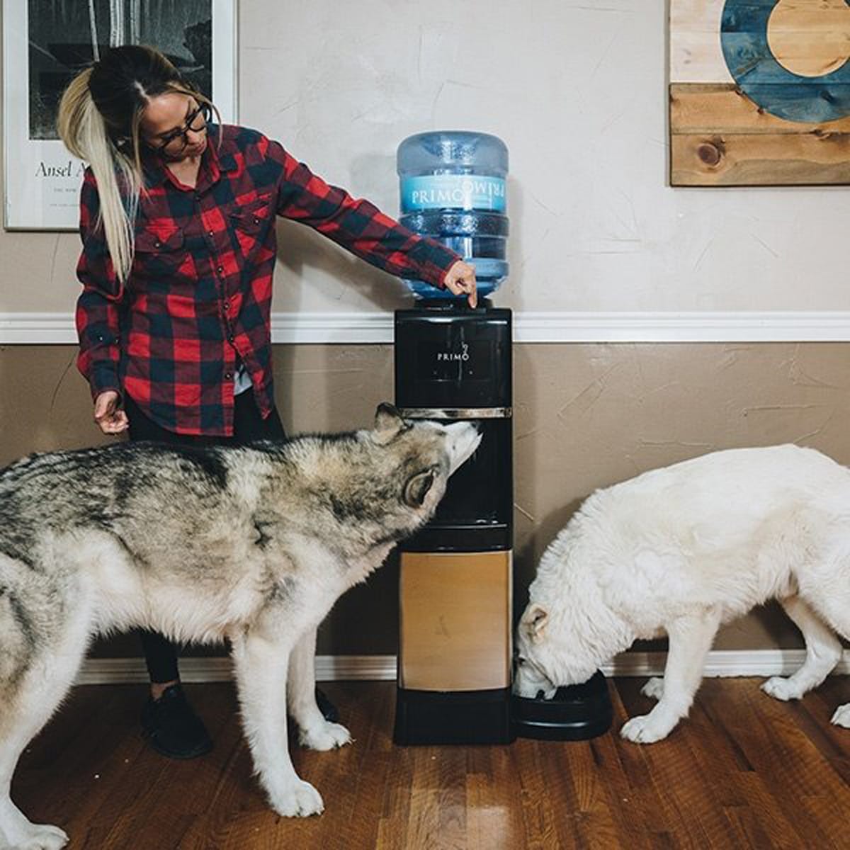 cold and hot water dispenser, home water dispenser with pet station