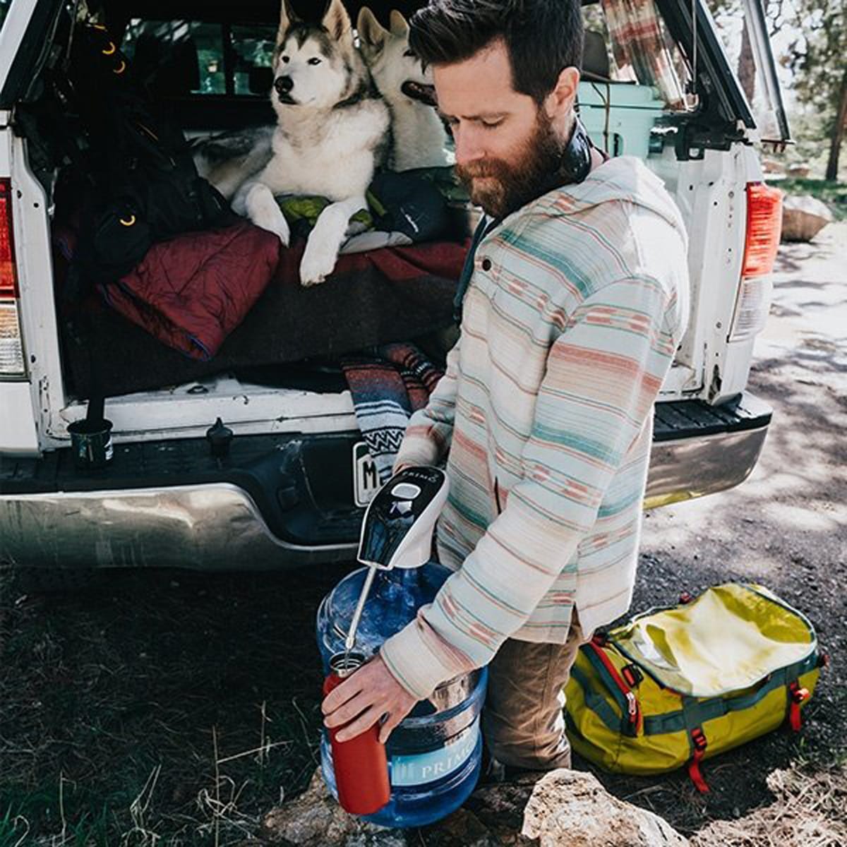 portable water pump